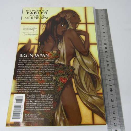 Vertigo Fairest Volume 2 - The Hidden Kingdom - graphic novel