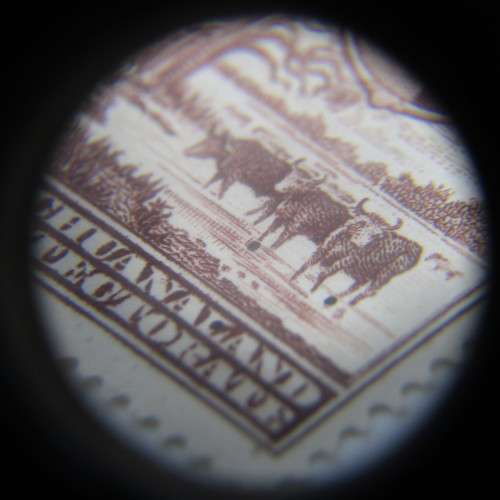 Bechuanaland protectorate 1955 Definitive Issue 2 penny stamp - SACC 140 - strip of 3 with 3 black d