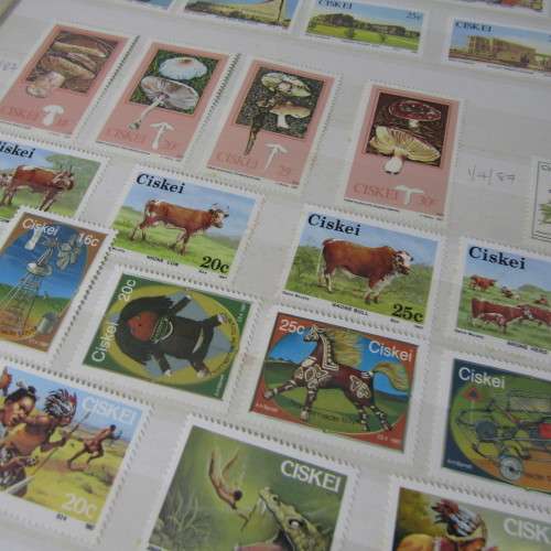 48 Page stamp album with mostly stamps from Bophuthatswana, Ciskei, Transkei, Venda