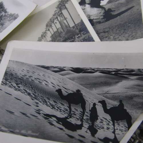 Lot of 70 photos taken North Africa during WW2