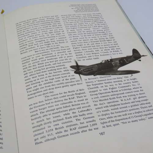 The Great Planes by James Gilbert