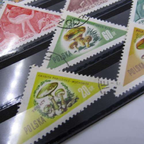 Lot of 12 Triangular stamps