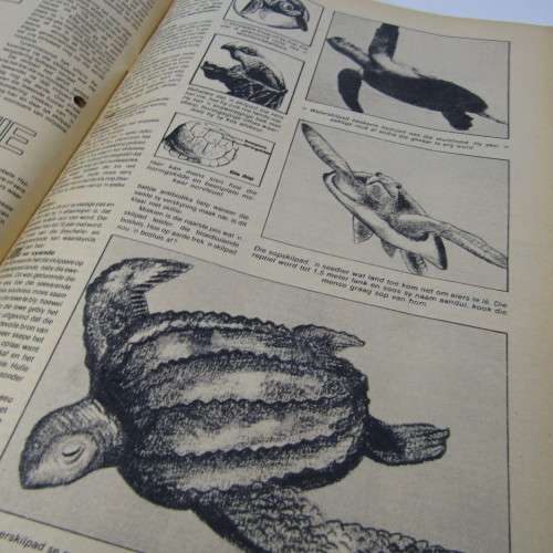 Patrys magazine - Januarie 1978 - Mosjwesjwe article  - no poster - punch holes