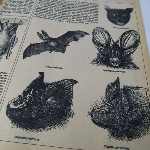 Patrys magazine - April 1978 - Die nuwe kabinet  - no poster - punch holes