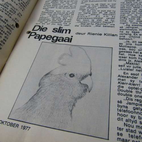 Patrys magazine - Oktober 1977 - Die vroee setlaars in Natal - no poster - punch holes