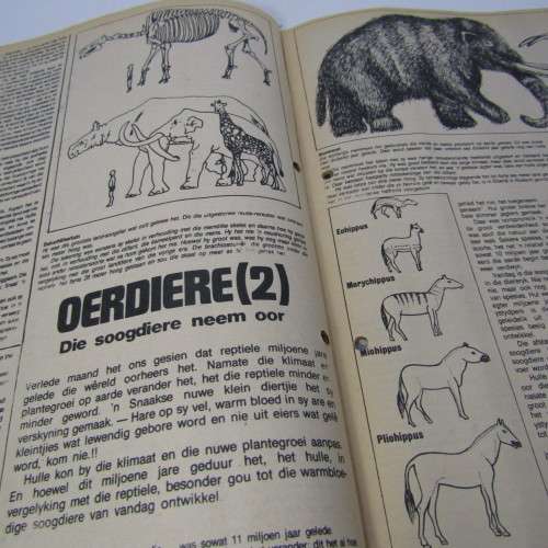 Patrys magazine - April 1977 - no poster - punch holes