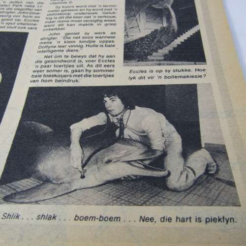 Patrys magazine - Februarie 1978 - no poster - punch holes