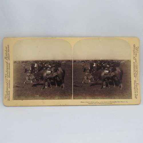 Boer War stereoscope card #113 - Prince Albert`s Horse resting on the march to Kroonstadt