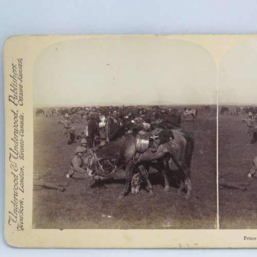 Boer War stereoscope card #113 - Prince Albert`s Horse resting on the march to Kroonstadt