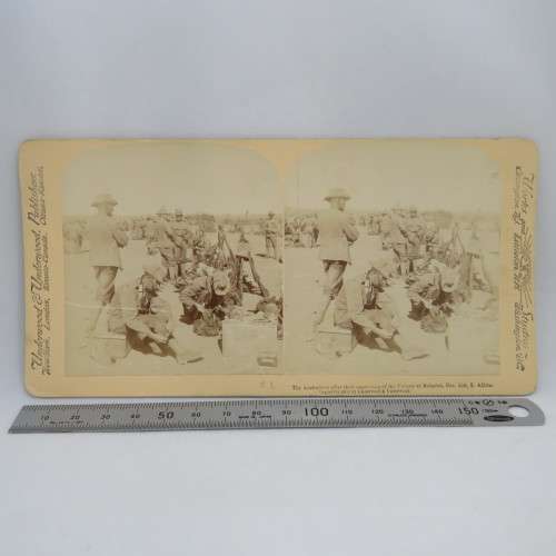 Boer War Stereoscope card #51 - The Australians after their experience of the Victory at Belmont