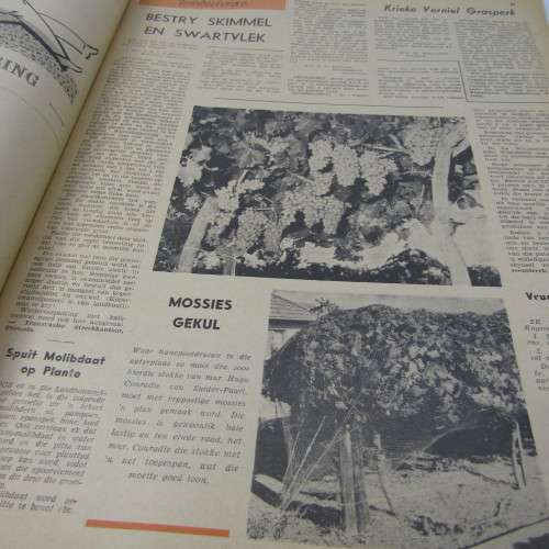 Die Landbou Weekblad - 6 Maart 1962