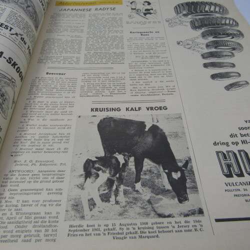 Die Landbou Weekblad - 31 Oktober 1961 - cover damage