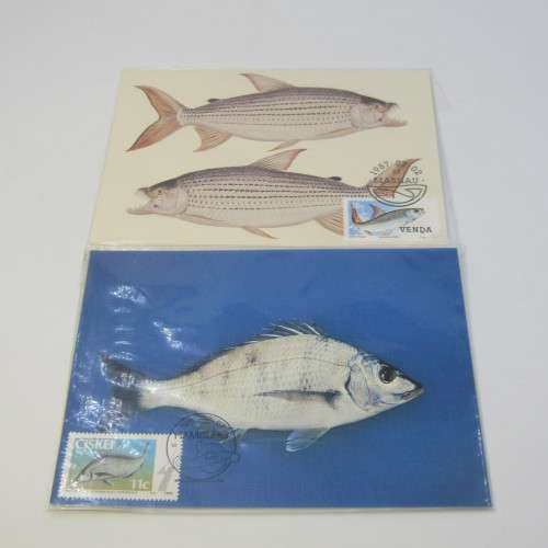 Lot of 12 postal items with fish