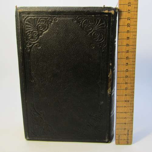 Man the Masterpiece 1891 Edition JH Kellogg