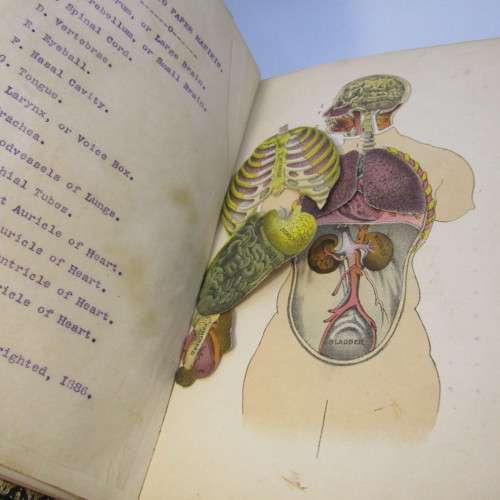 Man the Masterpiece 1891 Edition JH Kellogg