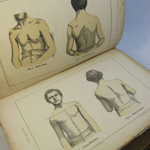 Man the Masterpiece 1891 Edition JH Kellogg
