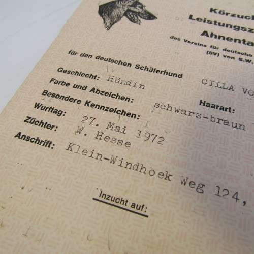Record for German Shepard dog Cilla vom Poppelhain 1972 - South West Africa - with vaccination certi