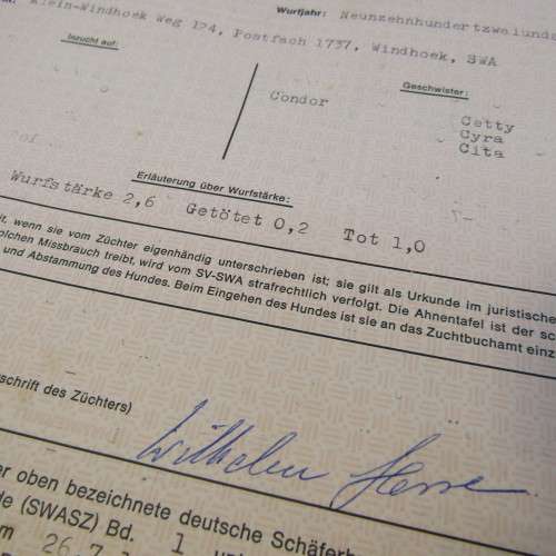 Record for German Shepard dog Cilla vom Poppelhain 1972 - South West Africa - with vaccination certi