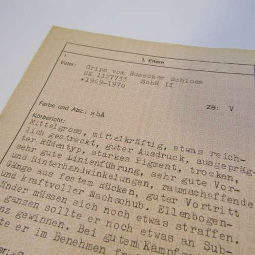Record for German Shepard dog Cilla vom Poppelhain 1972 - South West Africa - with vaccination certi