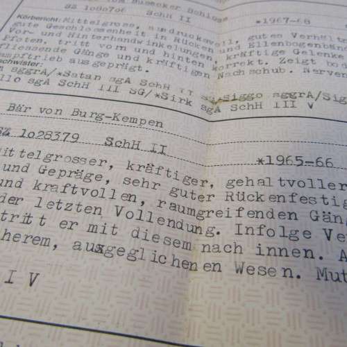 Record for German Shepard dog Cilla vom Poppelhain 1972 - South West Africa - with vaccination certi