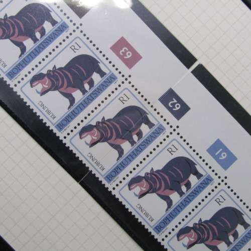 Stamp album with large lot of South Africa, South West Africa and homelands