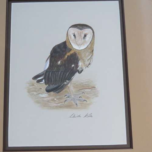 Christa Nolte watercolor painting of owl