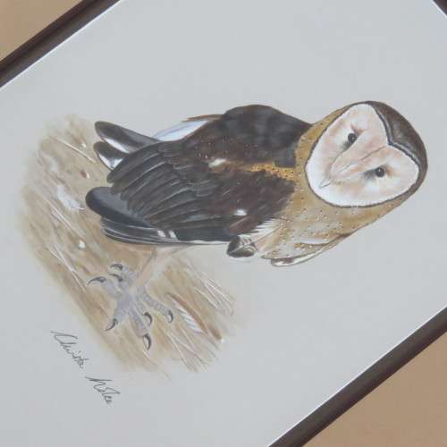Christa Nolte watercolor painting of owl
