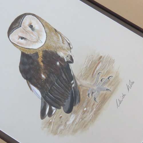 Christa Nolte watercolor painting of owl