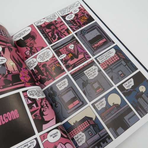 DC comics Catwoman Big Score graphic novel