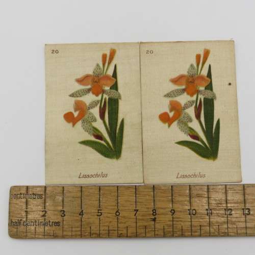 Silk cigarette card - South African flowers - No 20 Lissochilus with 2 different printings of the 20