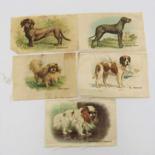 Lot of 5 Dog breeds silk cigarette cards
