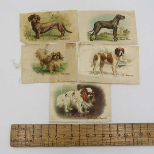Lot of 5 Dog breeds silk cigarette cards