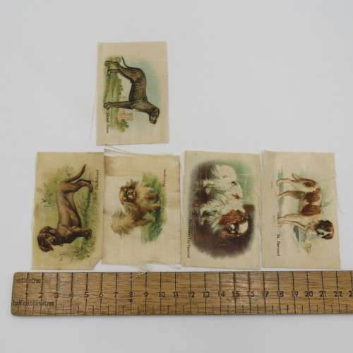 Lot of 5 Dog breeds silk cigarette cards