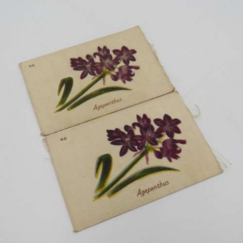 Lot of 9 South African flowers silky cigarette cards with paper backing