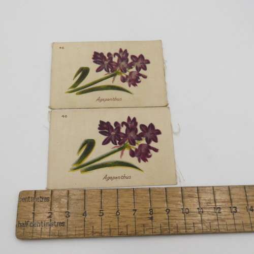 Lot of 9 South African flowers silky cigarette cards with paper backing