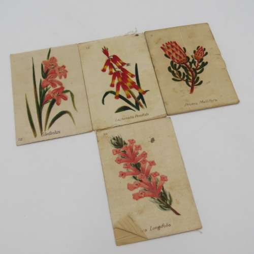 Lot of 9 South African flowers silky cigarette cards with paper backing