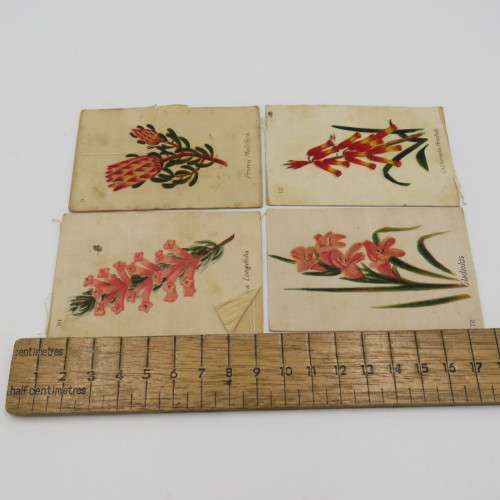 Lot of 9 South African flowers silky cigarette cards with paper backing