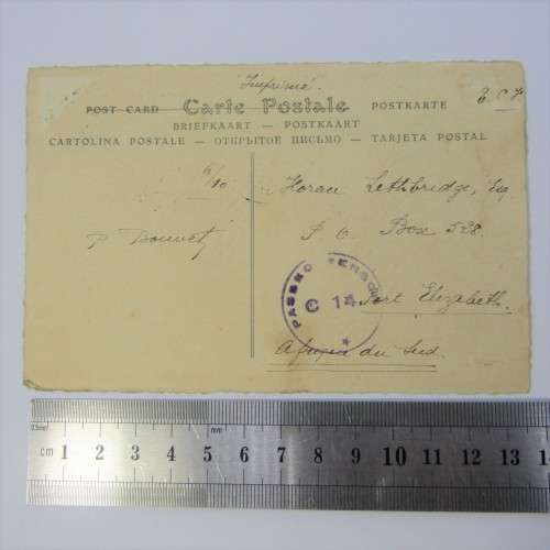 French postcard passed by censor C14 to Port Elizabeth