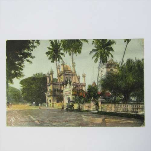 Ceylon postcard used Nederland 2 1/2 cent with violet Post agent Rotterdam cancellation - SCARCE