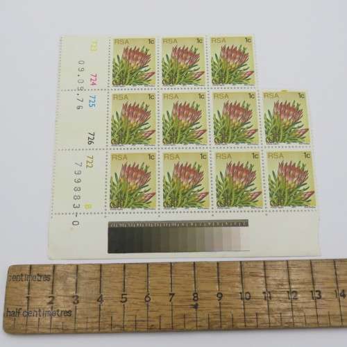 SACC 418 Protea block of 11 stamps right hand top stamp with yellow printing in frame