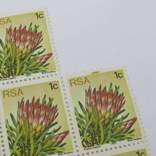 SACC 418 Protea block of 11 stamps right hand top stamp with yellow printing in frame