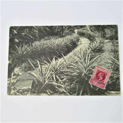 Seychelles Postcard