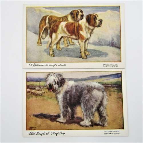 Set of 6 dog postcards from Vernon Stokes - Unused celesque series