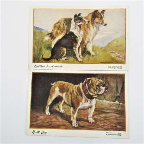 Set of 6 dog postcards from Vernon Stokes - Unused celesque series