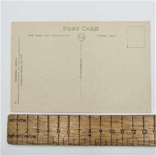 Set of 6 dog postcards from Vernon Stokes - Unused celesque series