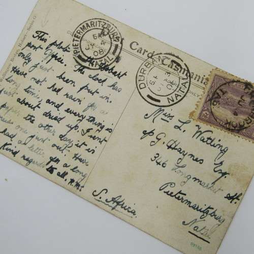 Cranbrook on 2d pictorial to Pietermaritzburg, Postcard