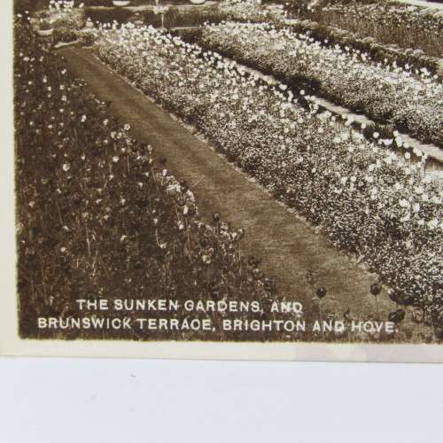 The Sunken Gardens and Brunswick Terrace Brighton and Hove postcard