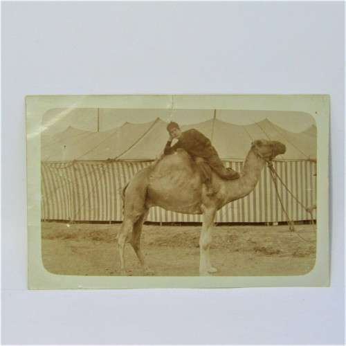 Vintage postcard - unused