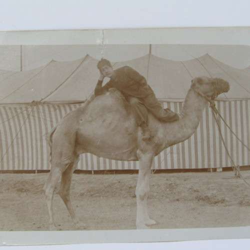 Vintage postcard - unused