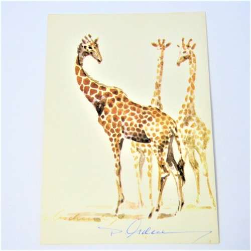 Angolan giraffe postcard signed by Dieter Aschenborn - unused